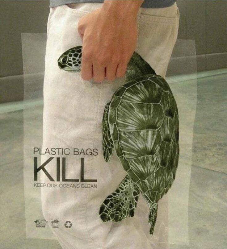 Obrázek turtle&nbsp;tote