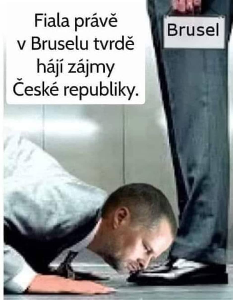 Obrázek tvrde haji nase zajmy