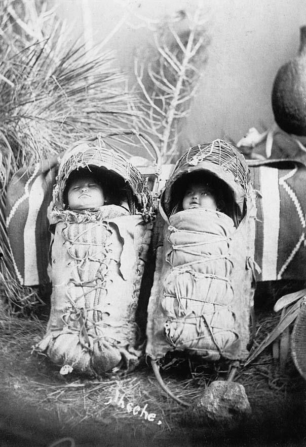 Obrázek two Apache infants in cradle boards 1888