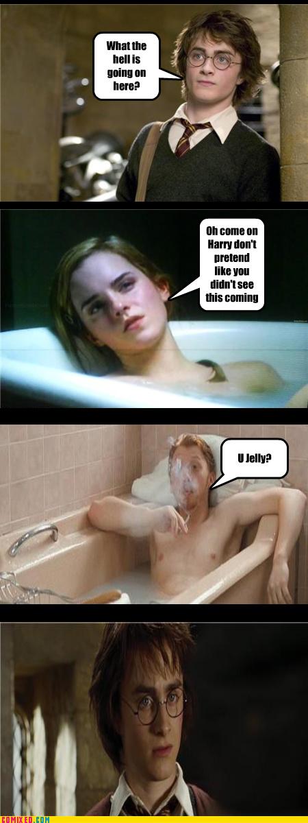 Obrázek u jelly harry