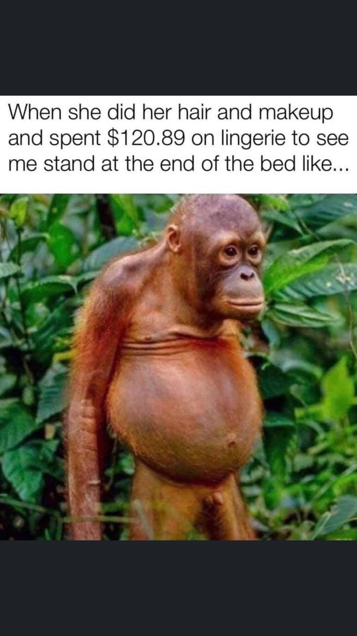 Obrázek ugh ugg