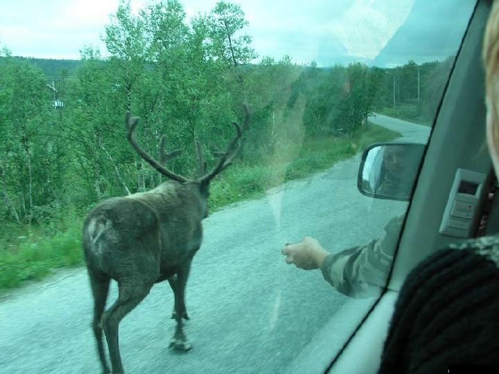 Obrázek uhni z cesty