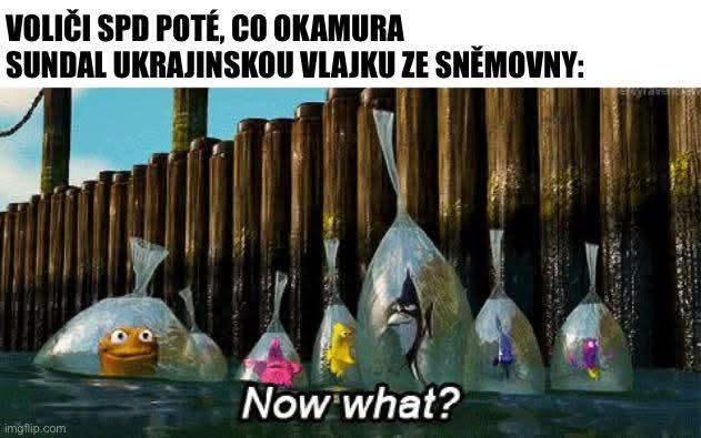 Obrázek ukol splnen co dal