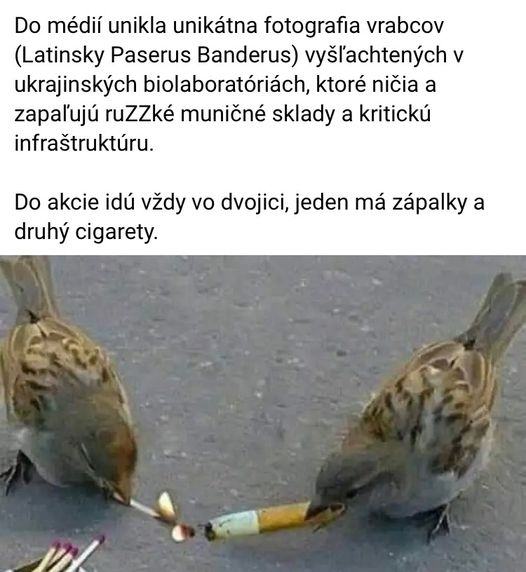Obrázek ukrainian biolab birds