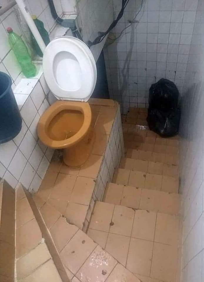 Obrázek umelecke srani 4