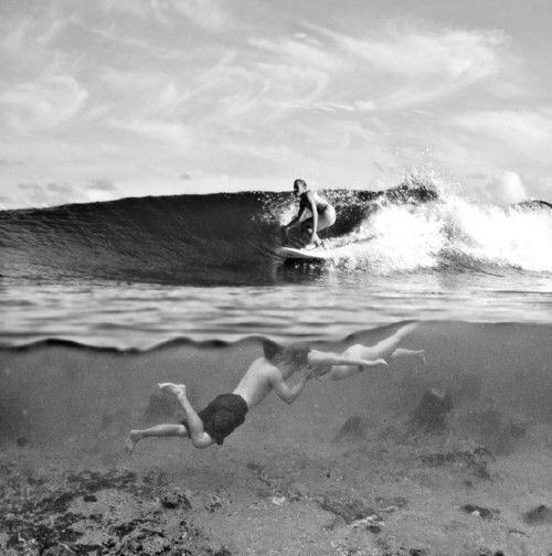 Obrázek under water action