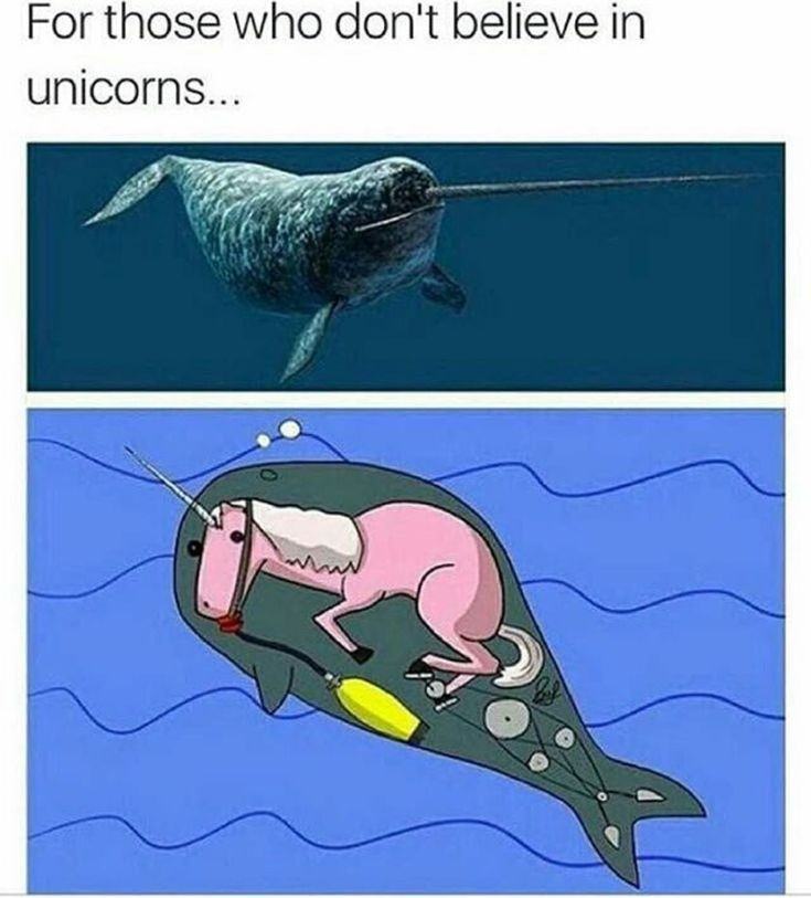 Obrázek uniwhale