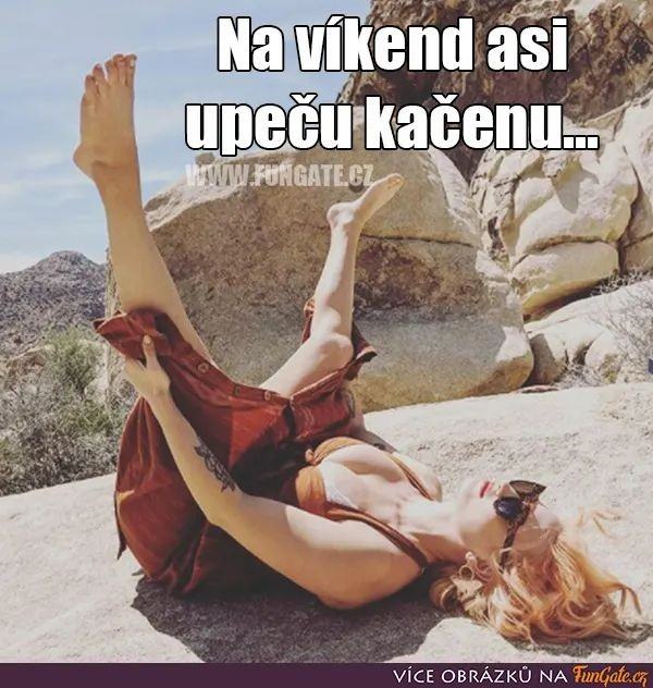 Obrázek upicu kacenu
