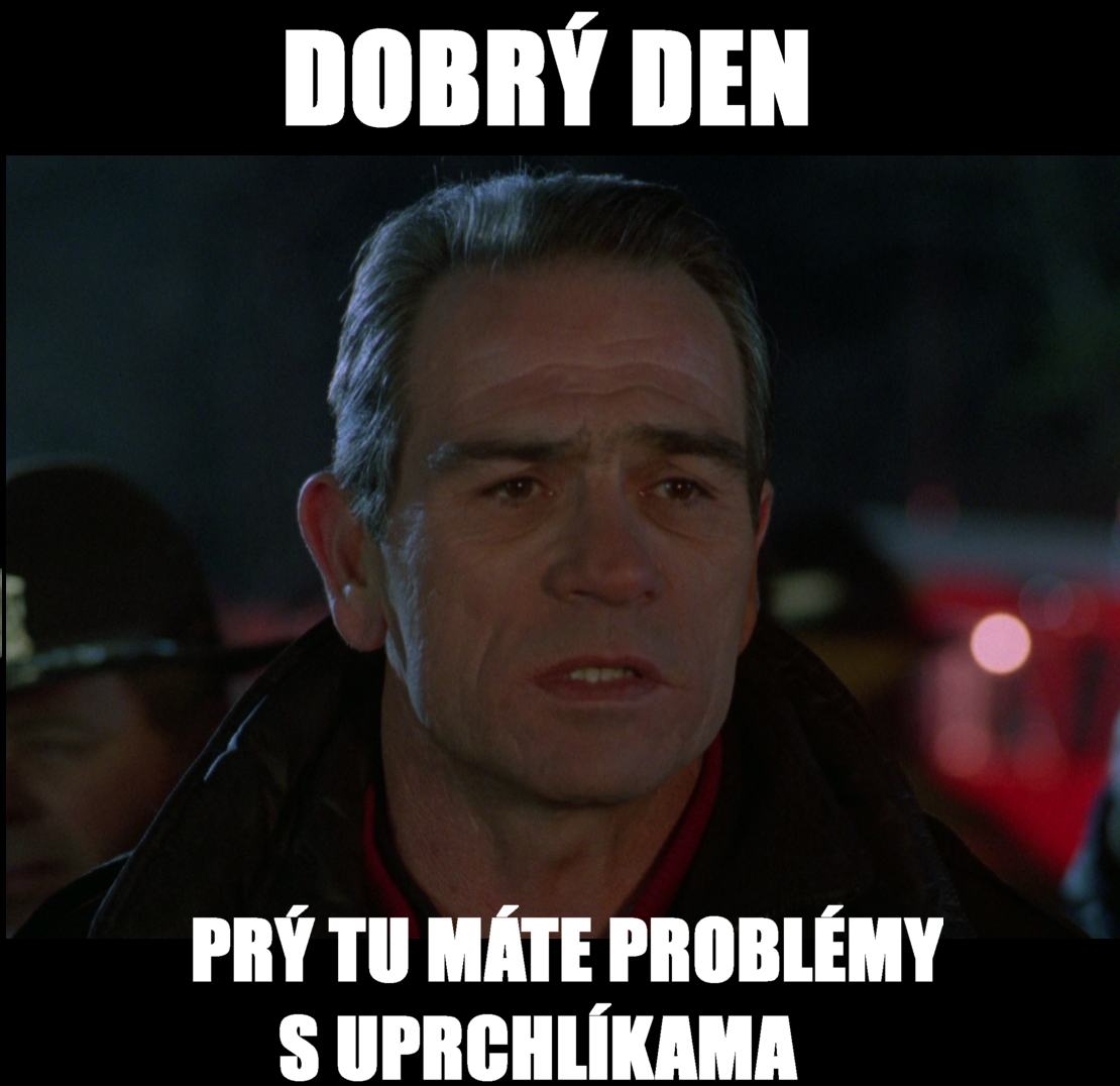 Obrázek uprchlicivcesku2