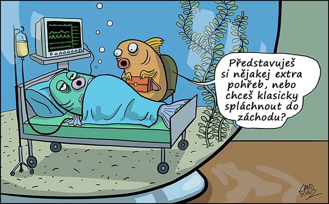 Obrázek uprimnost 2023