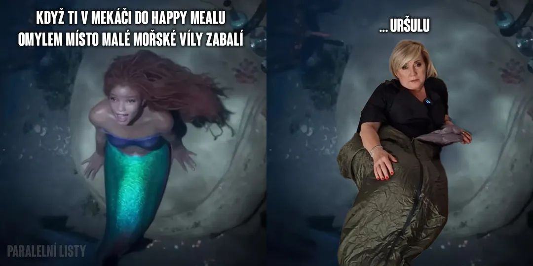 Obrázek ursula