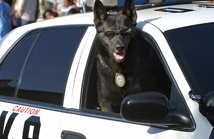 Obrázek us policista