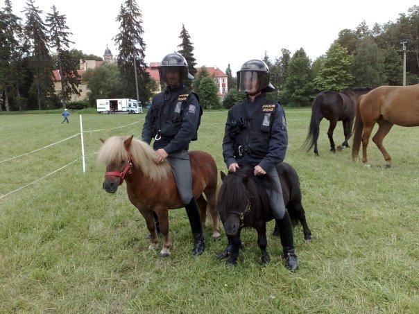 Obrázek uspory na jizdni policii