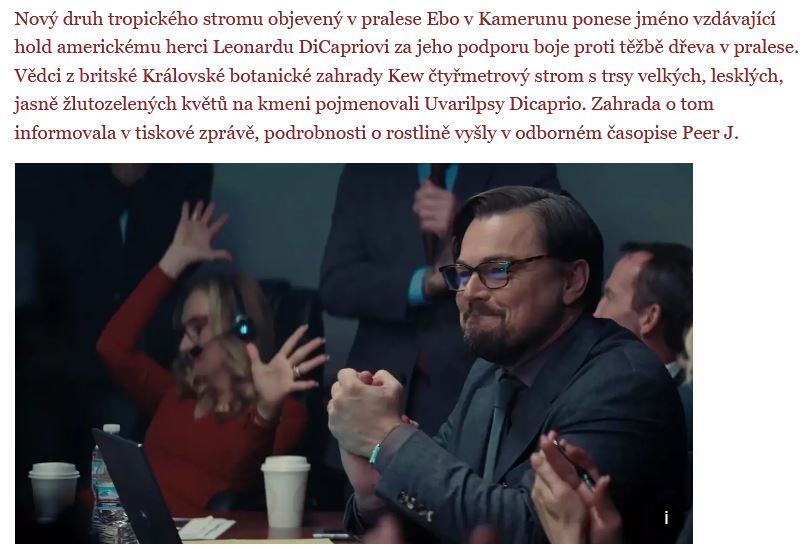 Obrázek uvarilpsy dicaprio