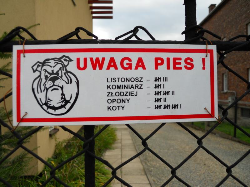 Obrázek uwaga pies