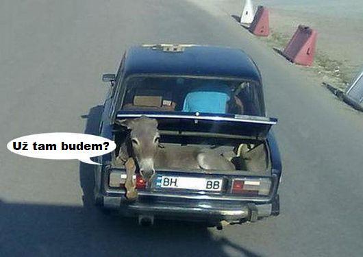 Obrázek uz tam budem