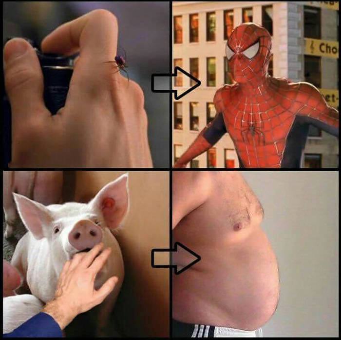 Obrázek uz vim proc