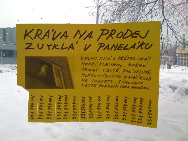 Obrázek v panelaku
