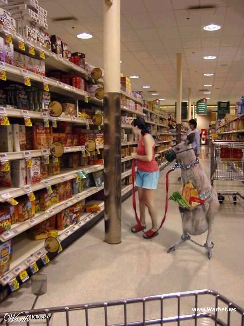Obrázek v supermarketu