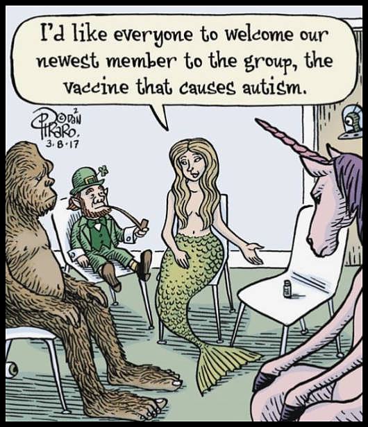 Obrázek vaccine-autism