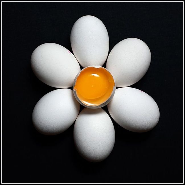 Obrázek vajecna kyticka