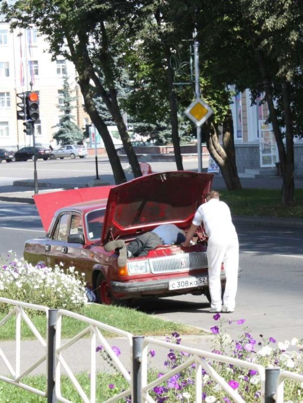 Obrázek valim si sunky