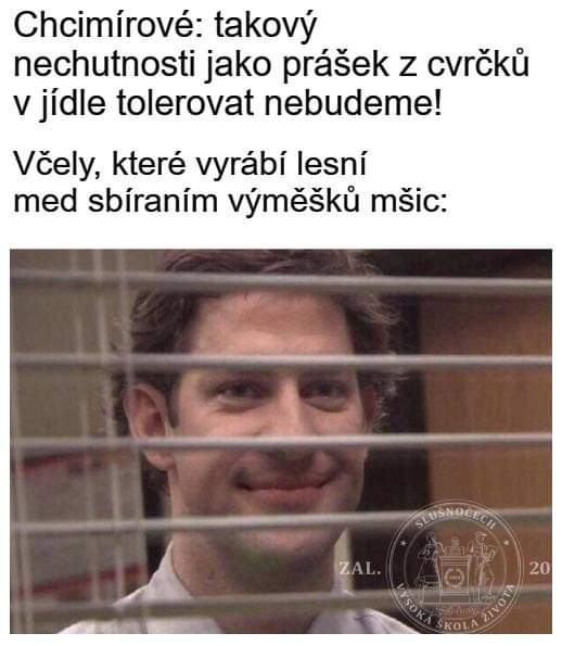 Obrázek vcely be like