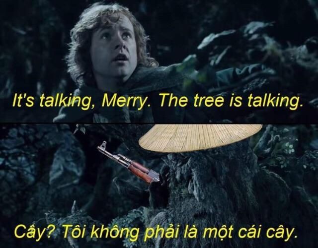 Obrázek ve Vietnamu stromy hovorily