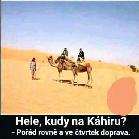 Obrázek ve ctvrtek doprava