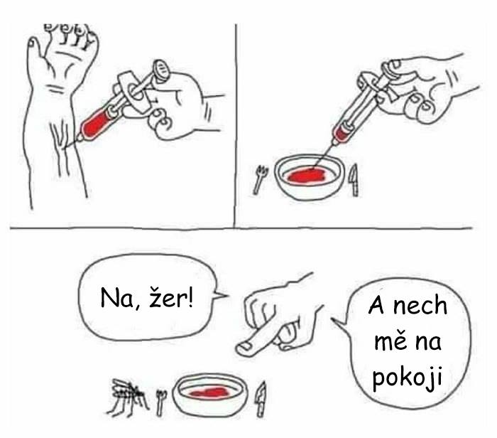 Obrázek vecere pro komarici