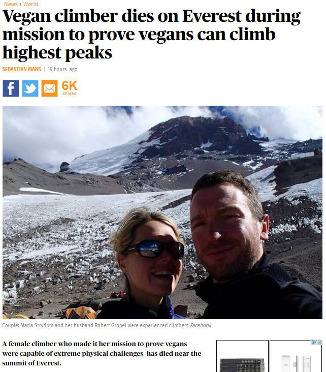 Obrázek vegan-climber