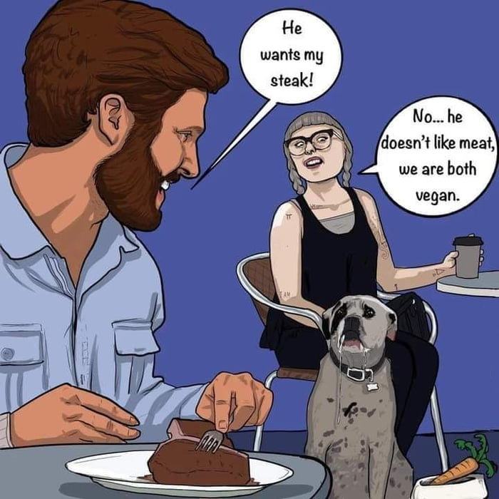 Obrázek vegan dog