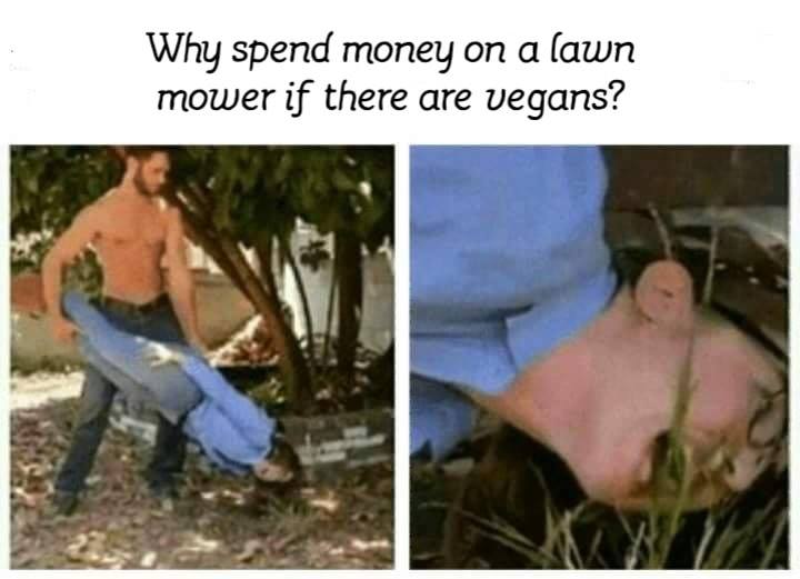 Obrázek vegan mower