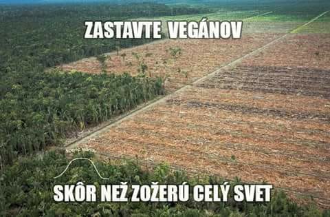 Obrázek vegane