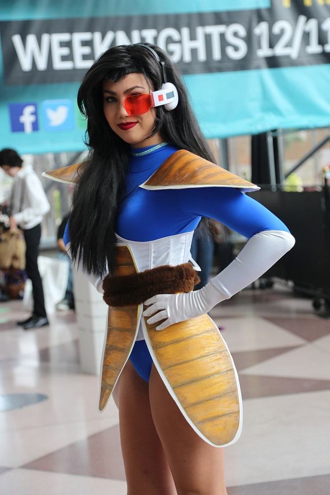 Obrázek vegeta