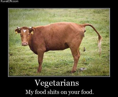 Obrázek vegetarians2