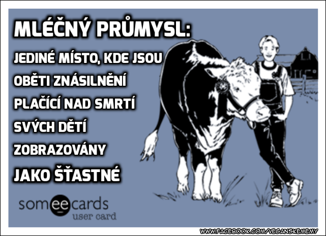 Obrázek vesela krava