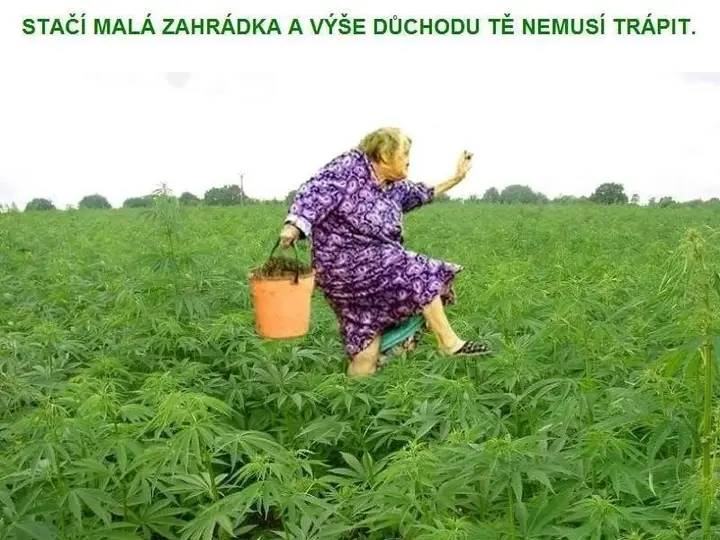 Obrázek veseli duchodci