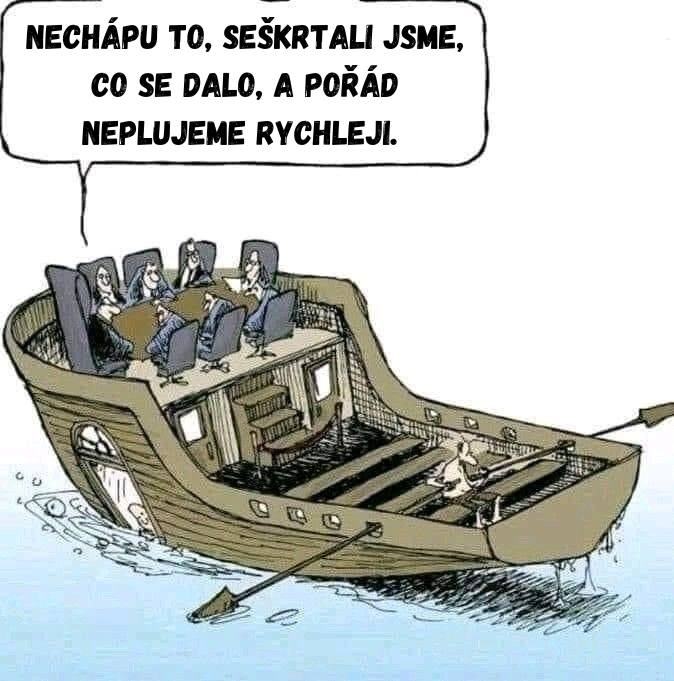 Obrázek veslari