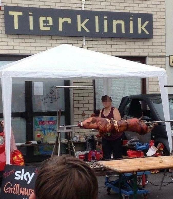 Obrázek veterina