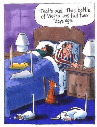 Obrázek viagracat