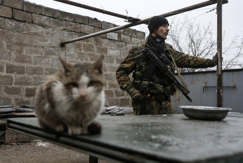 Obrázek vic&nbsp;Doneckych&nbsp;kocicek&nbsp;na&nbsp;R