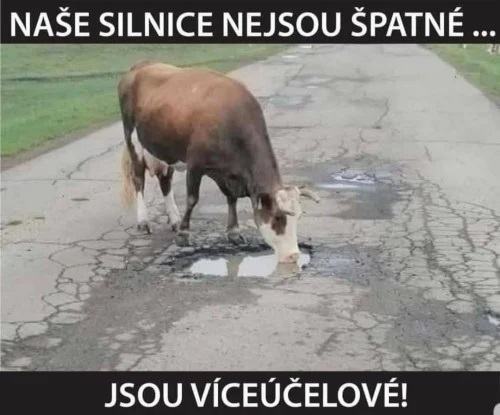 Obrázek viceucelove