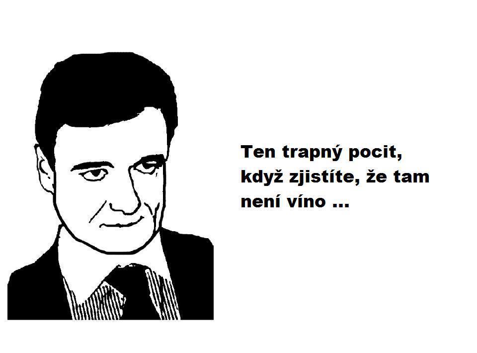 Obrázek vino2012