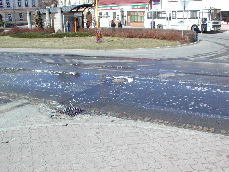 Obrázek vizovicke pivni slavnosti 1