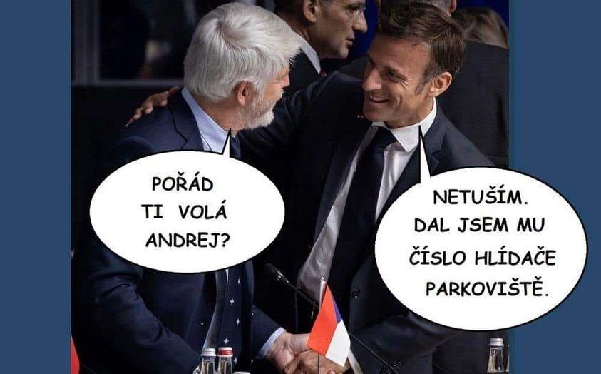 Obrázek vola andrej