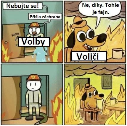 Obrázek volby