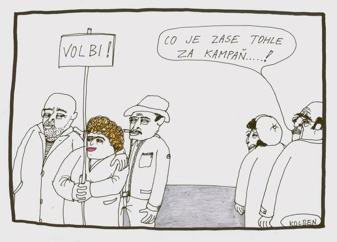 Obrázek volby pro BI