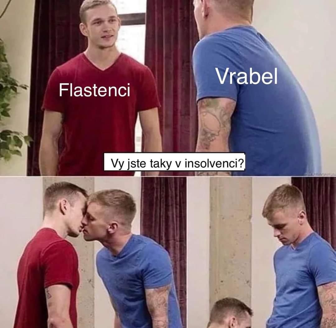 Obrázek vrabelovci