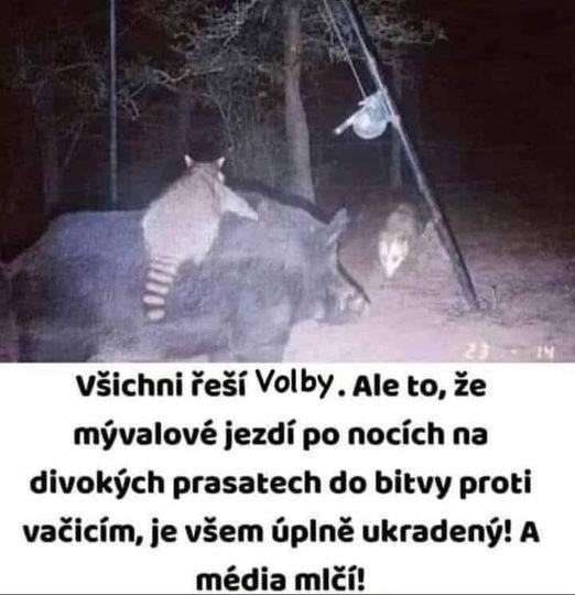 Obrázek vsichni resi volby